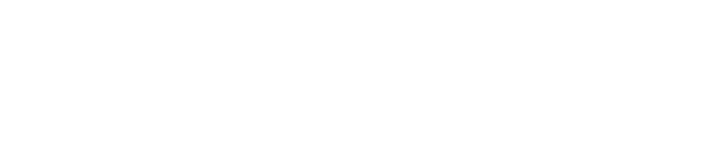 IRON logo